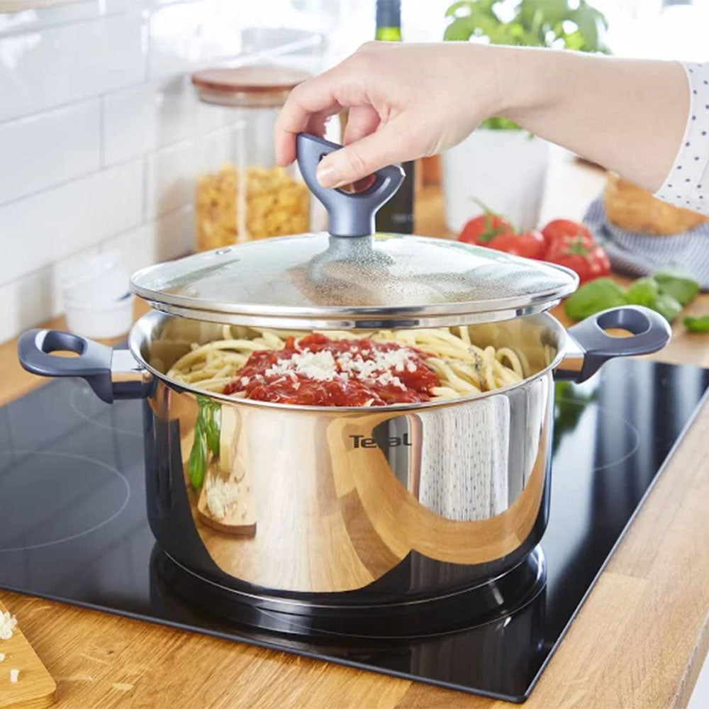 Tefal kookpan 20 cm - 2,5 liter - Met deksel - Roestvrij staal - Zilver